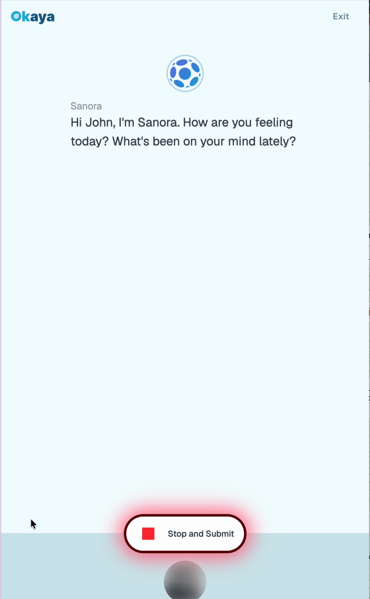 The check-in on a phone: Sanora asks how the person is feeling and what has been on their mind, sample account